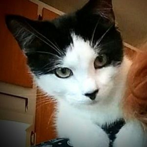 Meet your Posher, Isabelle